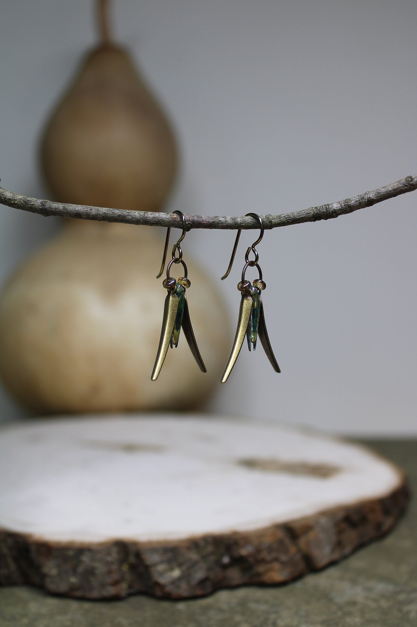 Dainty Meadow Grasshoppers
