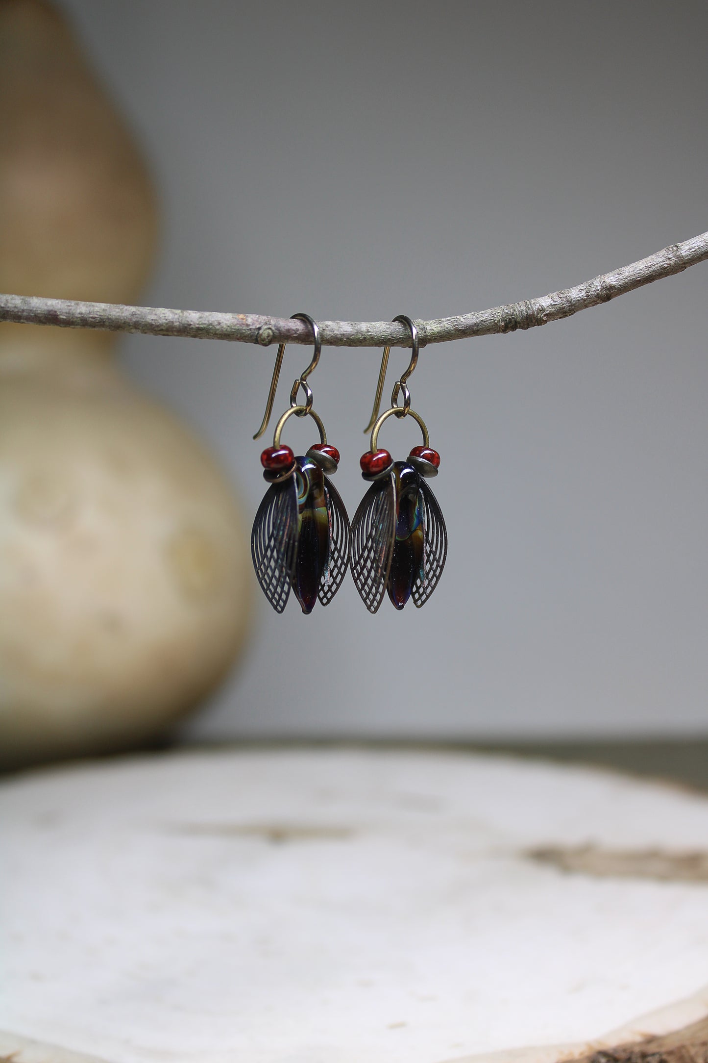 Elegant Cicada