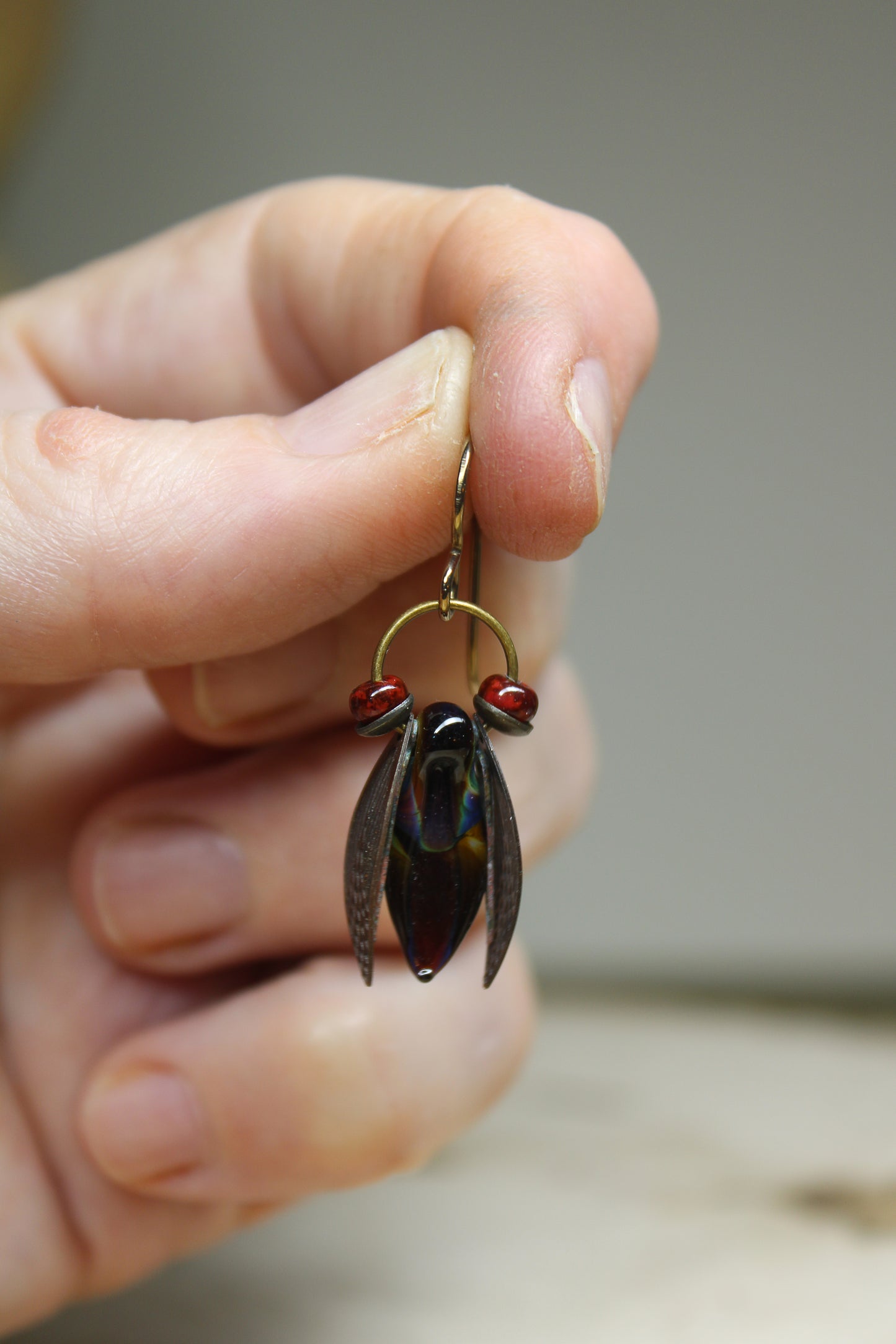Elegant Cicada