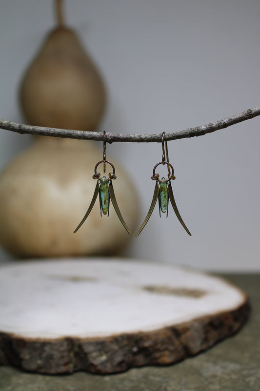 Dainty Meadow Grasshoppers