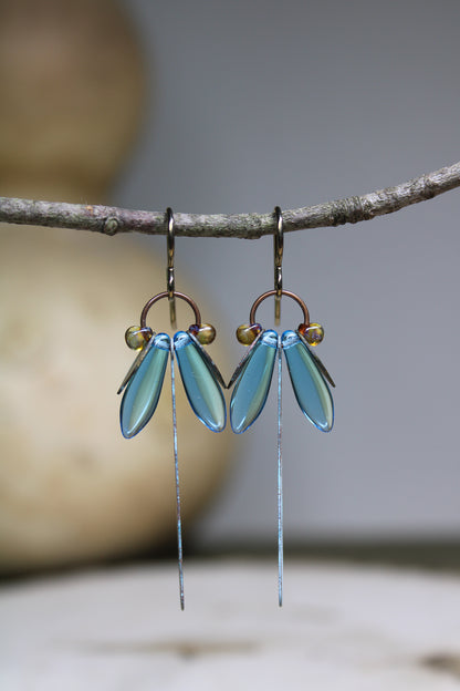 Elegant Blue Dragonfly