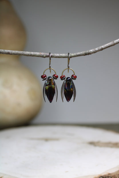 Elegant Cicada