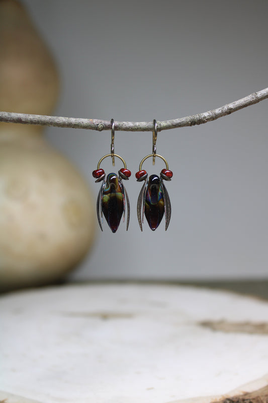 Elegant Cicada